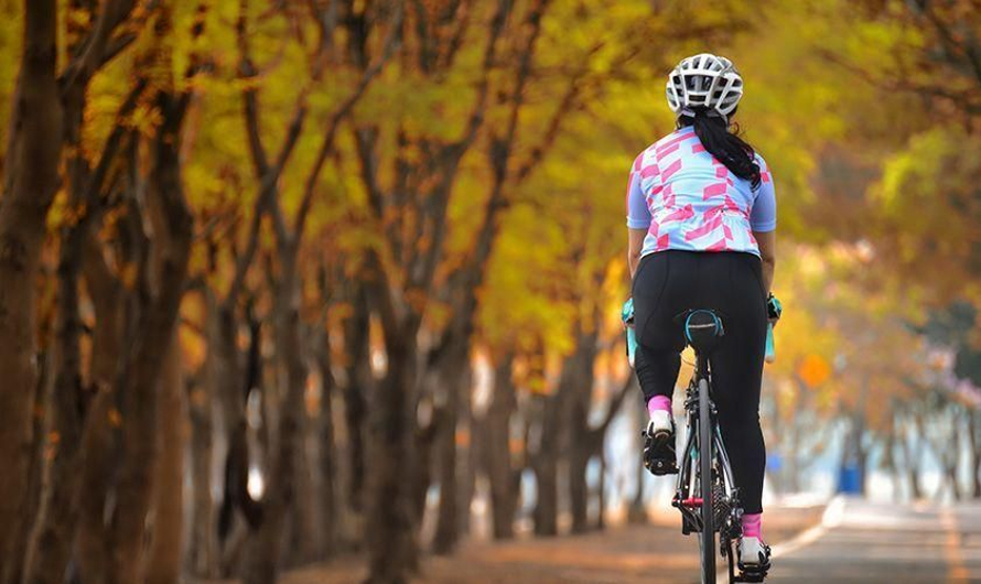 SBOTOP สโบท็อป | เว็บแทงบอลที่ดีที่สุดในประเทศไทย